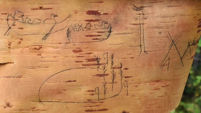 Charcoal drawing on birch bark of animals in a canoe and other symbols with a leafy branch.