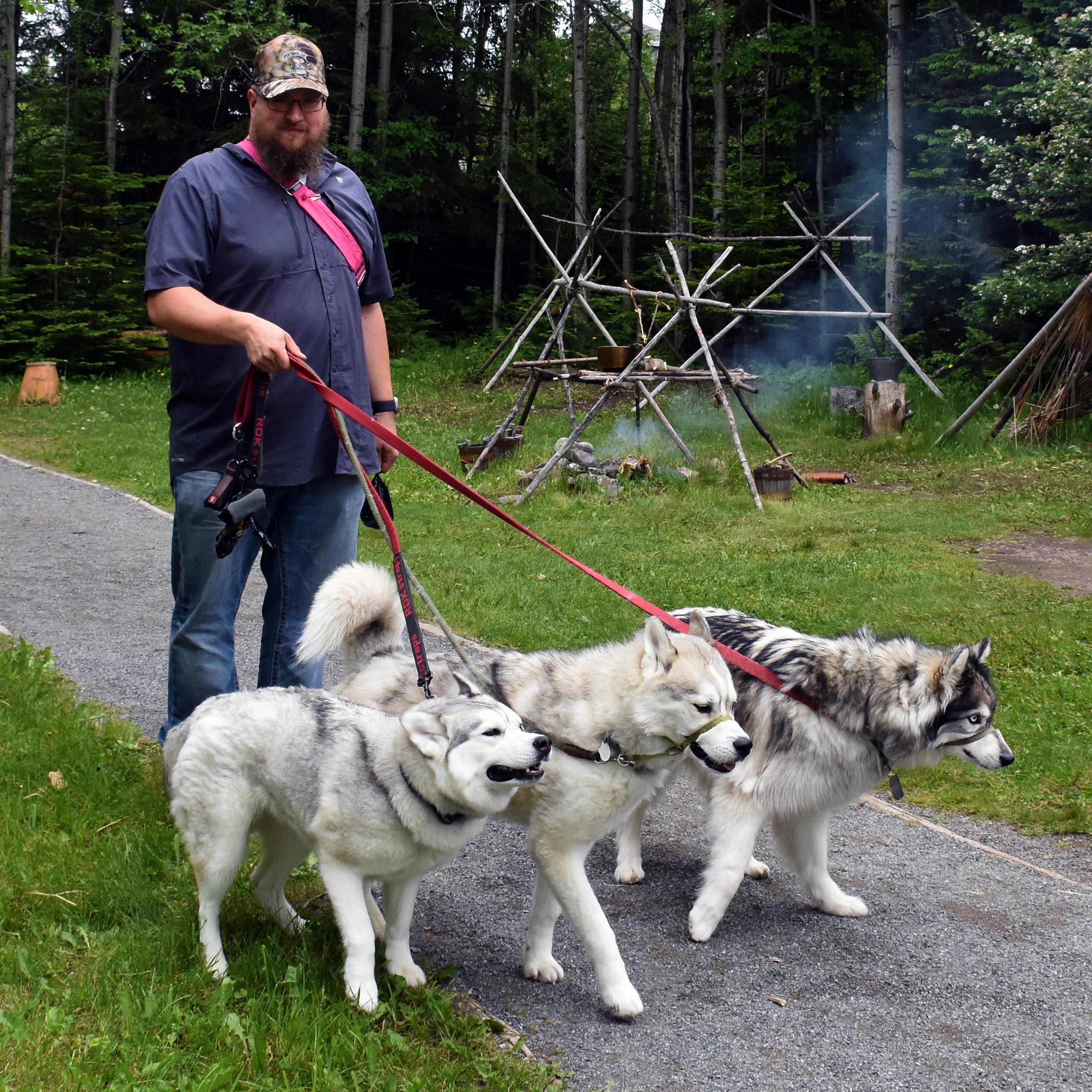 A person walking three huskies on leash in front of a birch lodge.