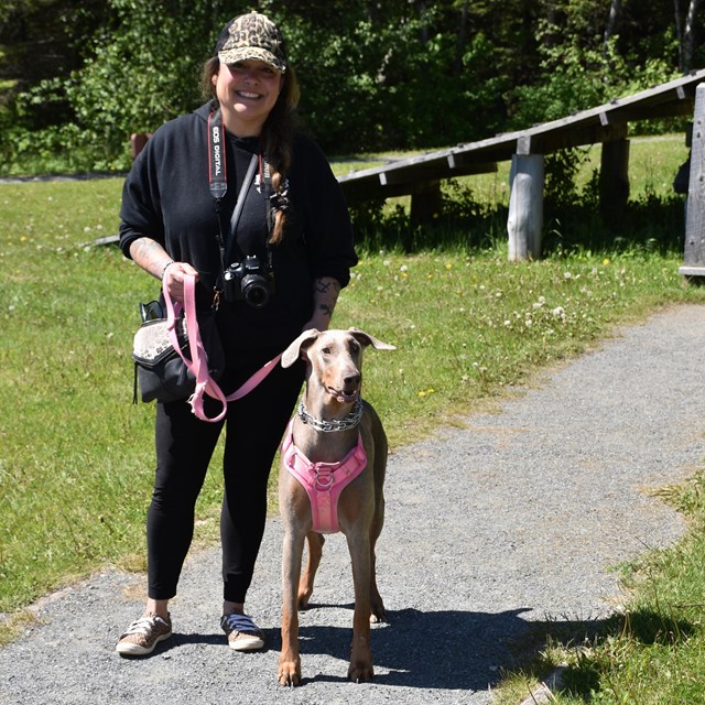 A person with a large dog wearing a pink harness and leash.