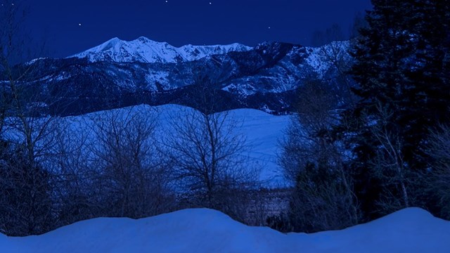 Snowy night scene with forest, snow covered dunes, mountain and stars