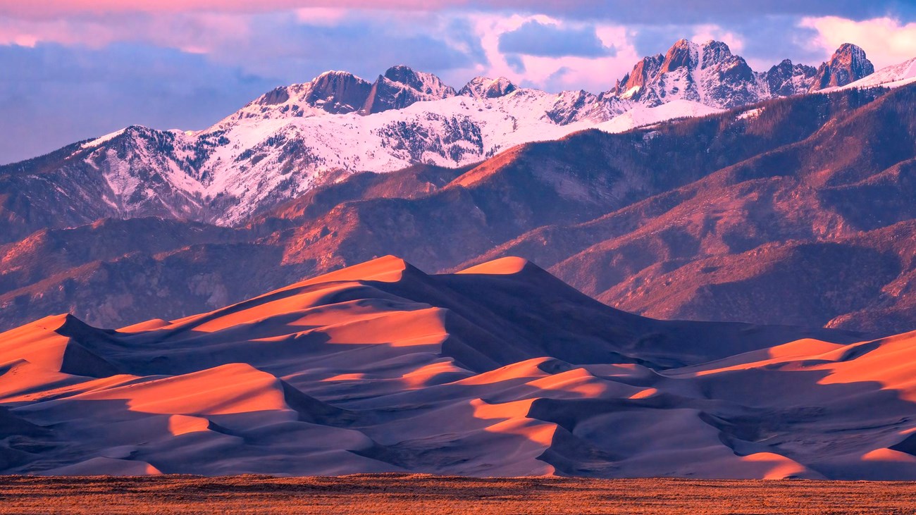 Orange light on Sand dunes with Snow capped peaks in background, with grasses in foreground