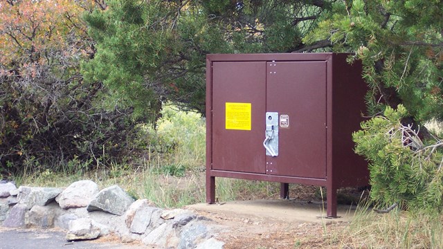 A brown steal bear box with yellow sticker on door in campground