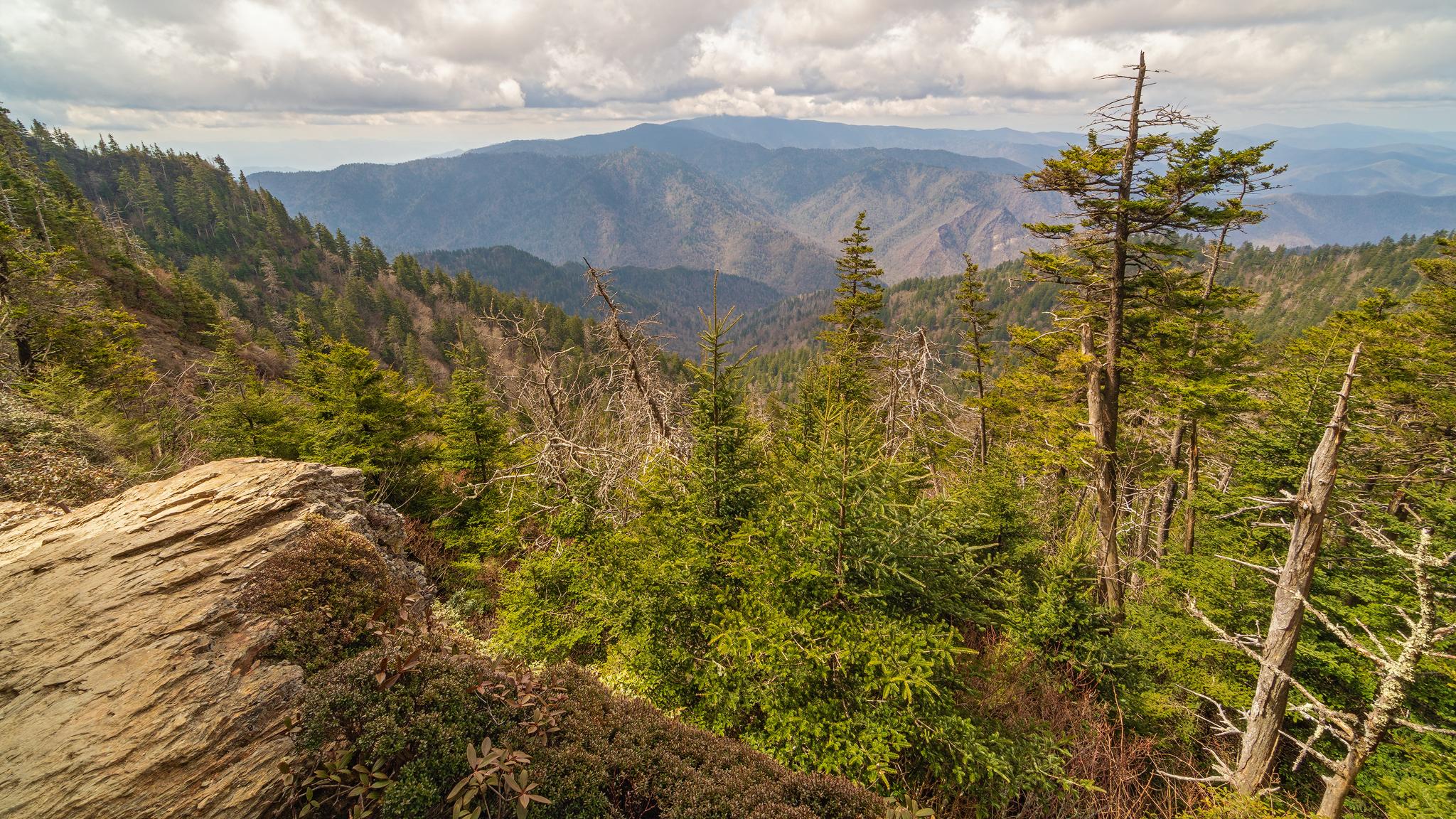 A rocky overlook to the mountains.