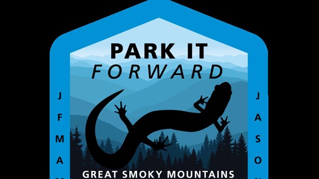 A annual great smoky mountains parking tag with a blue and black design and a salamander