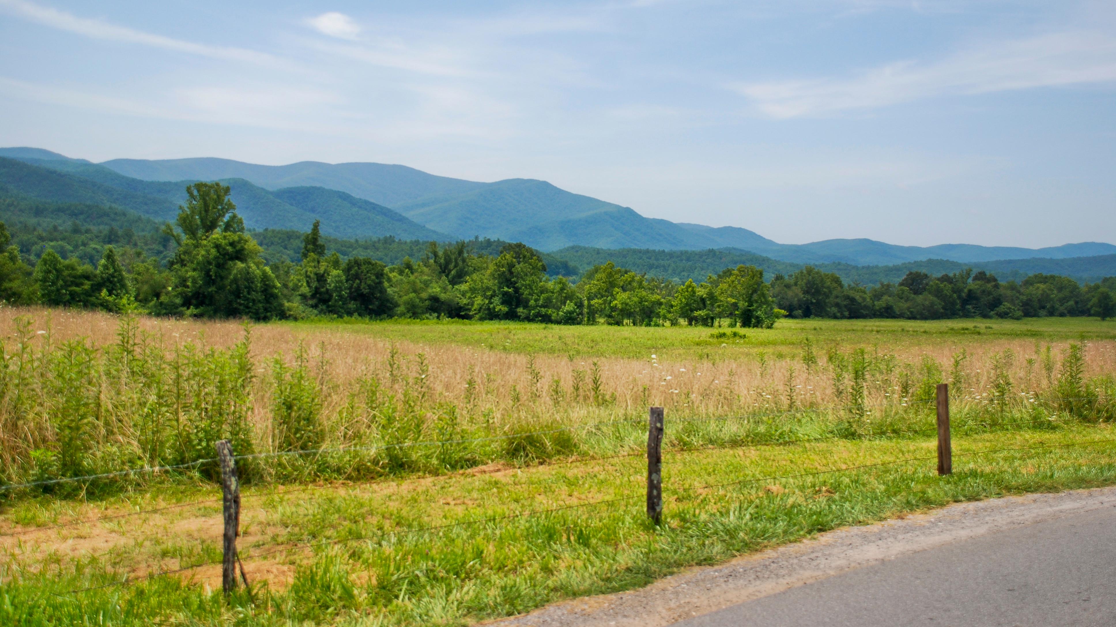 Rolling mountains with a blue-green appearance in the background of a pasture with a fence.