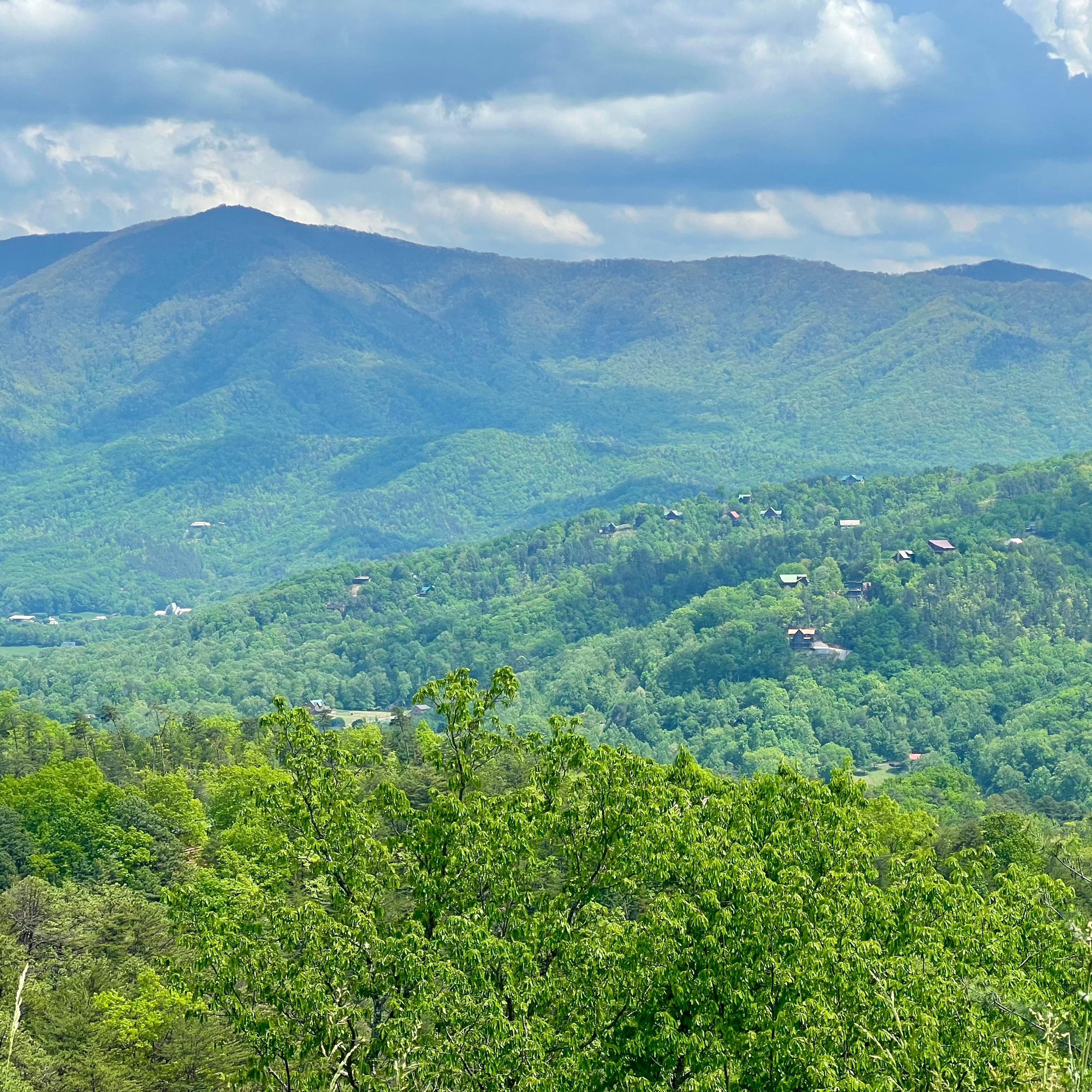 A scenic forested mountain view