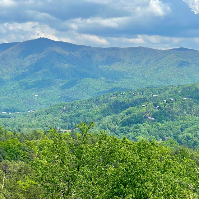 A scenic forested mountain view