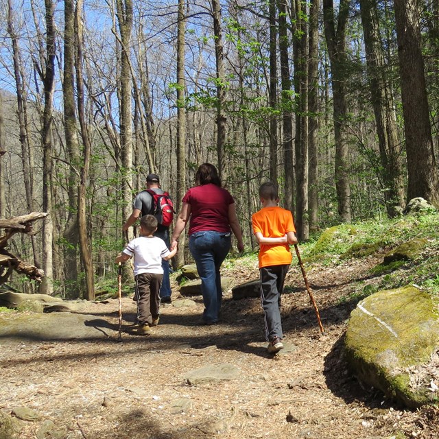 A group of 2 children and 2 adults on a trail in the woods.