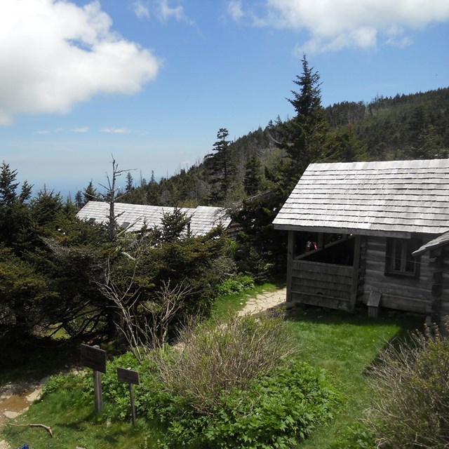 Rustic log cabins surrounded by green trees, grass, and mountain views in the distance.