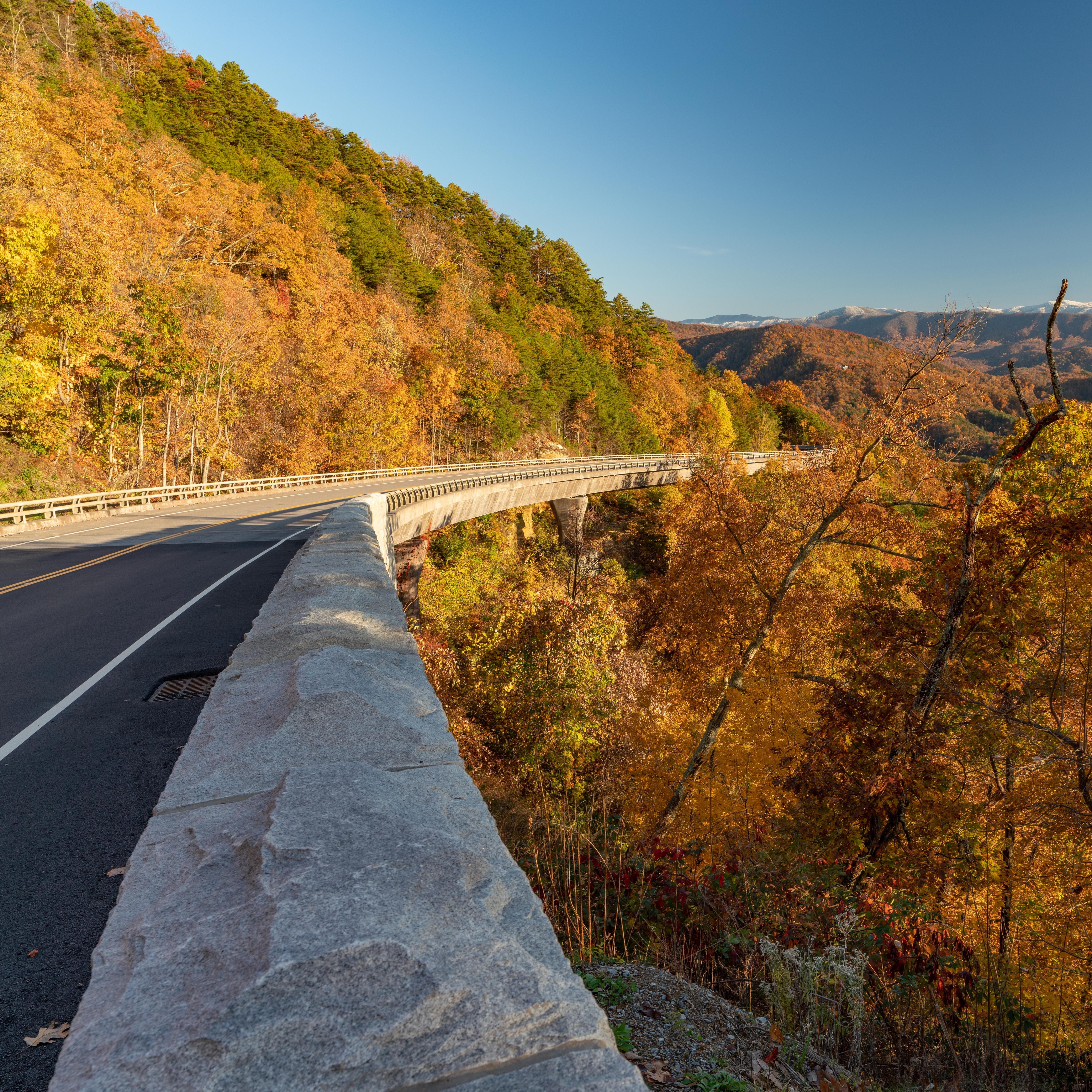 A paved road with a stone guardrail passing through fall-colored trees.