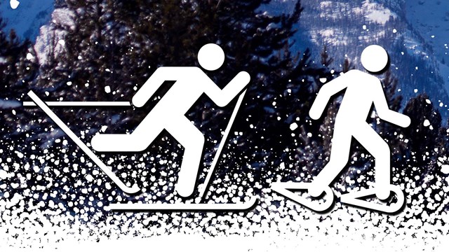 Cross-country skiing and Snowshoeing icons