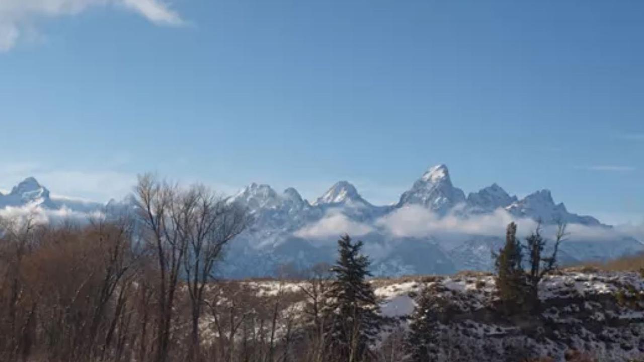 Webcam image of Teton Range with evergreen trees in foreground under a blue sky