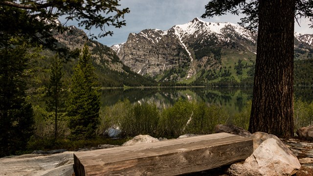 Phelps Lake with bench in foreground and Death Canyon beyond.