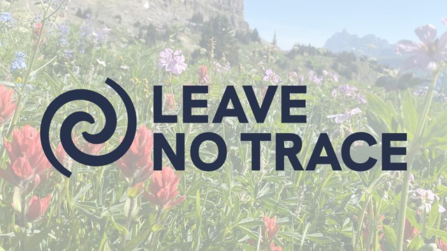 Leave No Trace logo with flowers and the Teton range in the distance