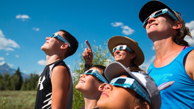 Bear in the sagebrush