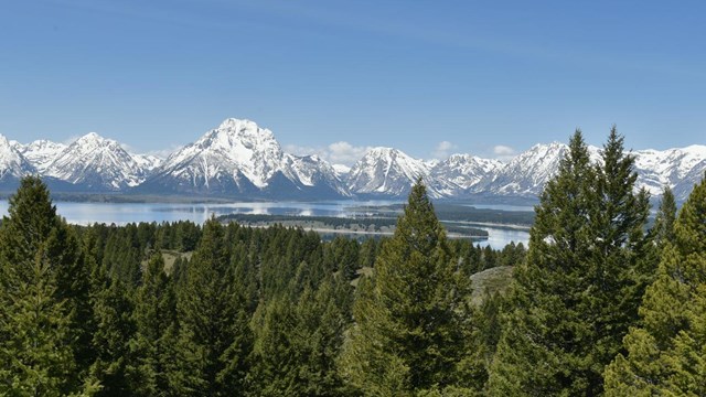 View of Jackson Lake and the Teton Range from the summit of Signal Mountain.