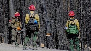 Fire fighters cut down burned trees