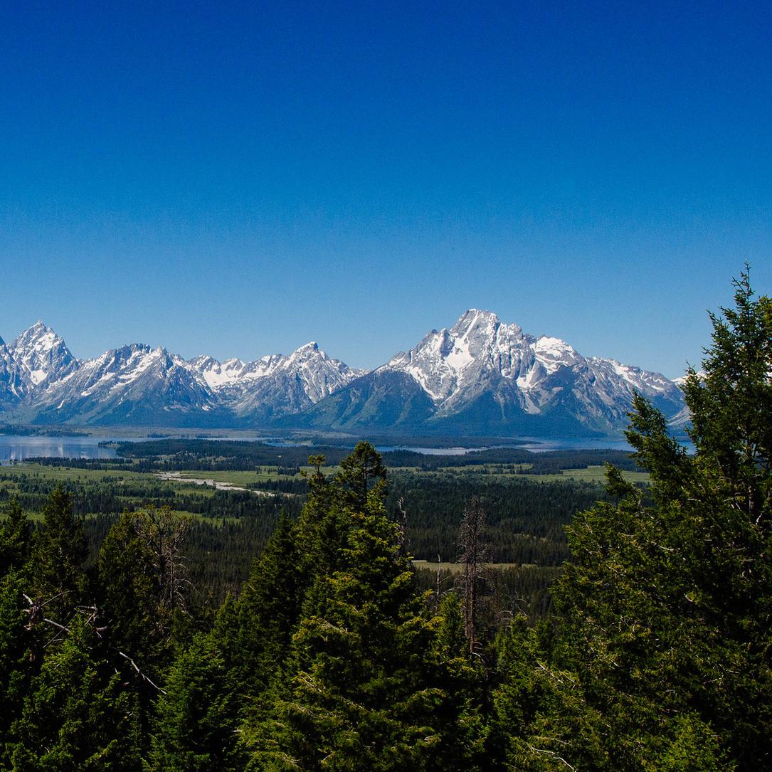 View from Grand View Point looking across Jackson Lake to the Teton Range