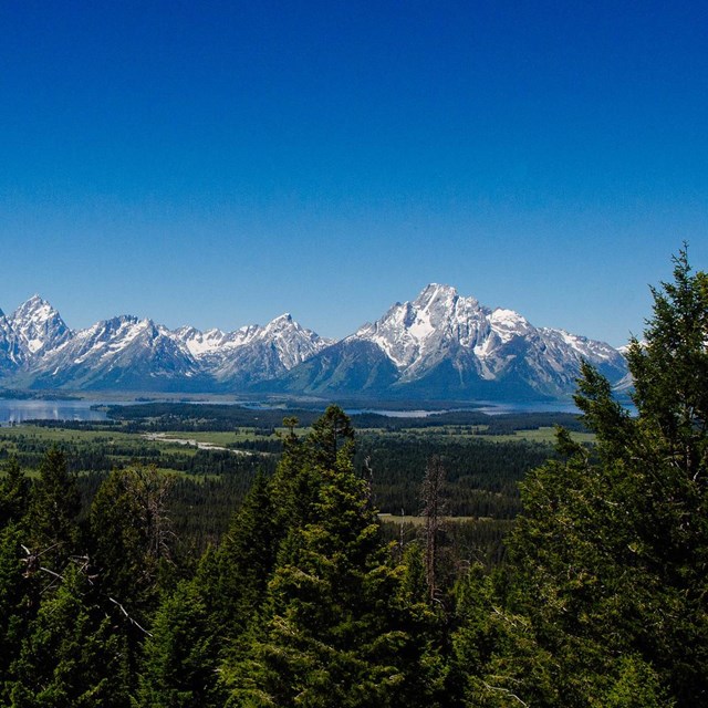View from Grand View Point looking across Jackson Lake to the Teton Range