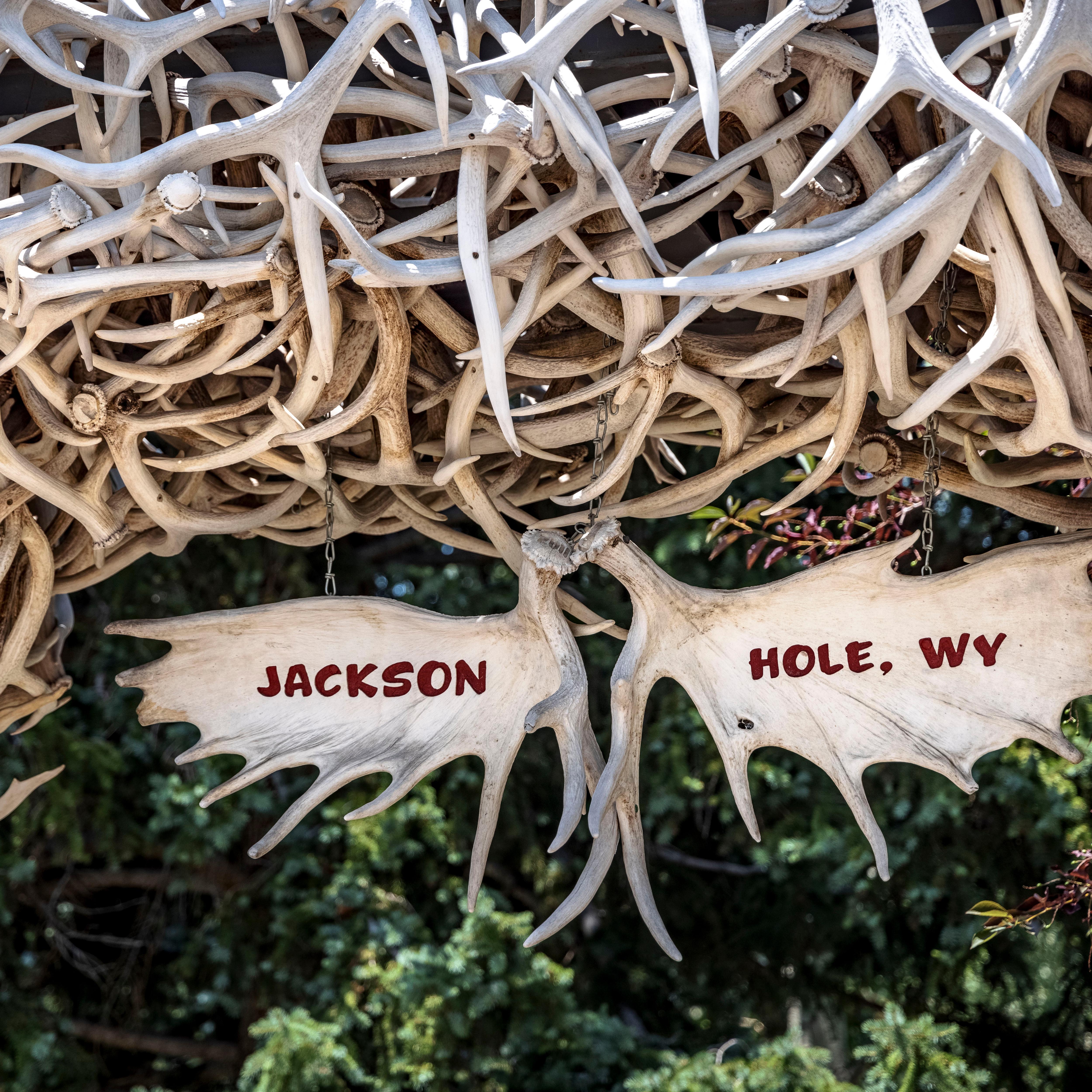 Jackson Hole, WY on moose antler hanging from a arch of antlers.  Adobe Stock 484724702