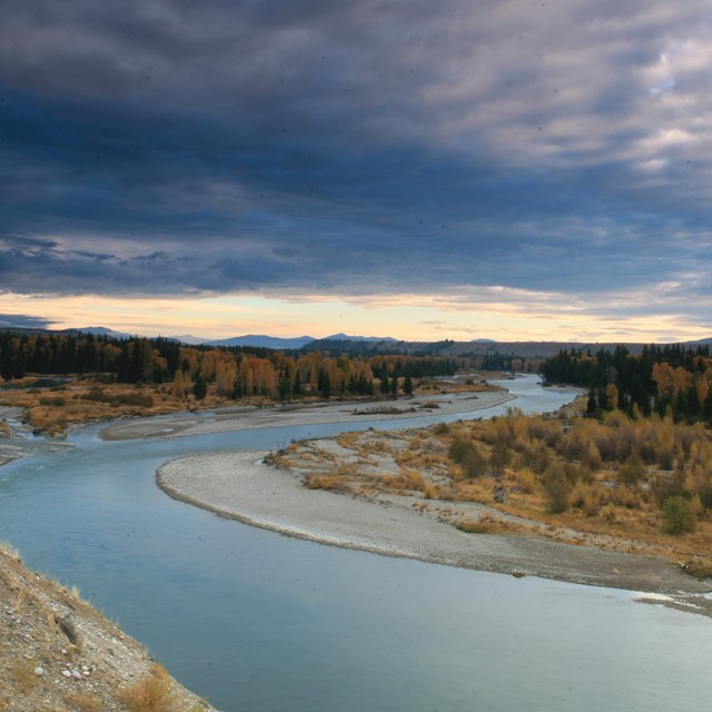 The Snake River on an overcast day in fall. The braided channels weave around gravel bars.