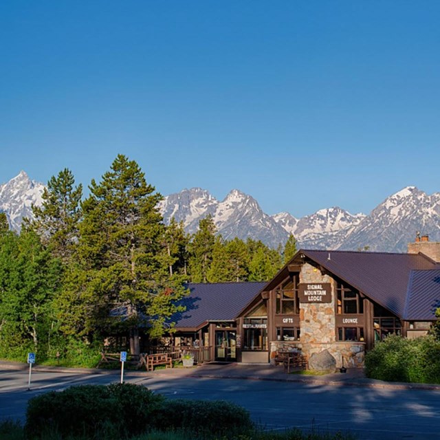 Signal Mountain Lodge 