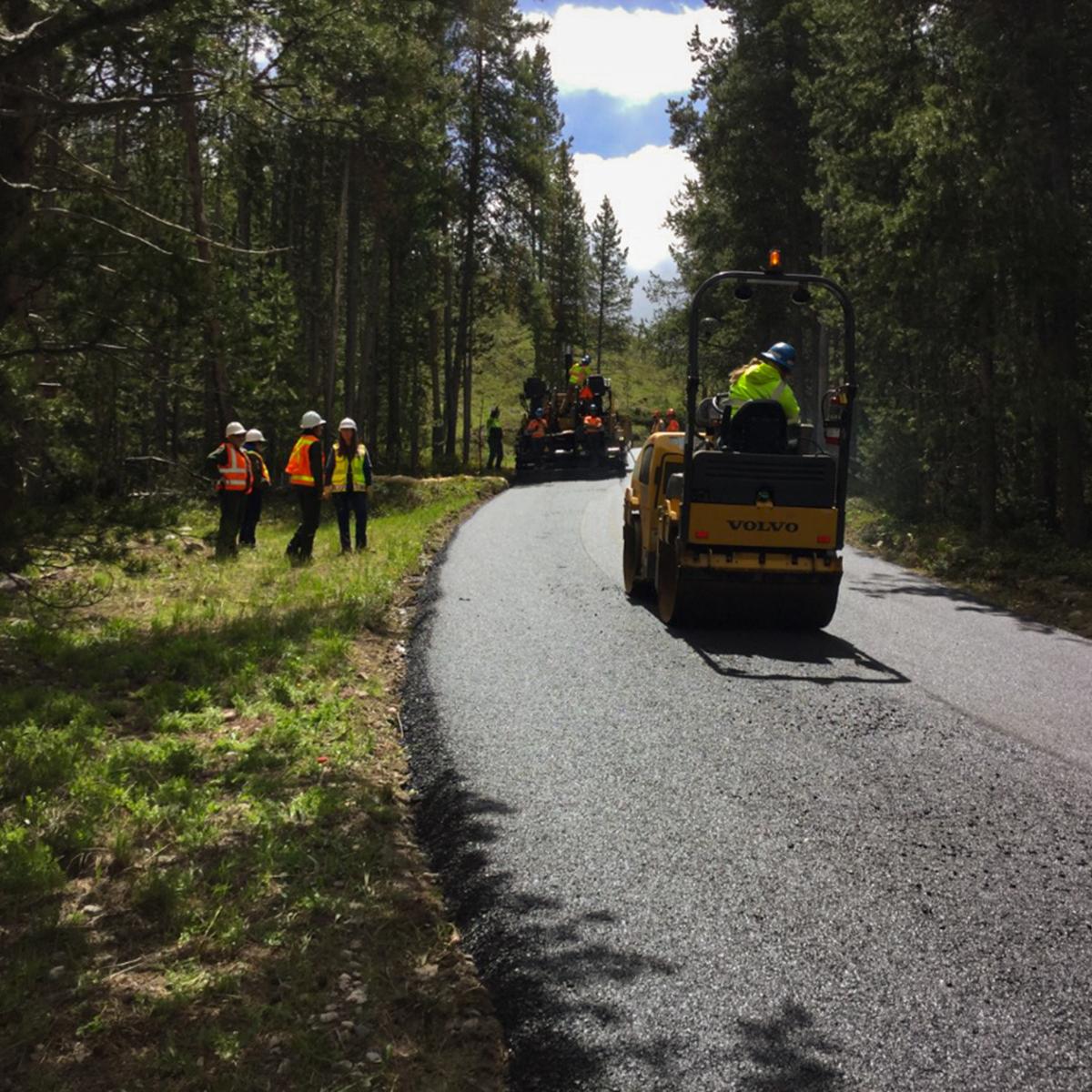 Construction vehicles pave a road through the forest.
