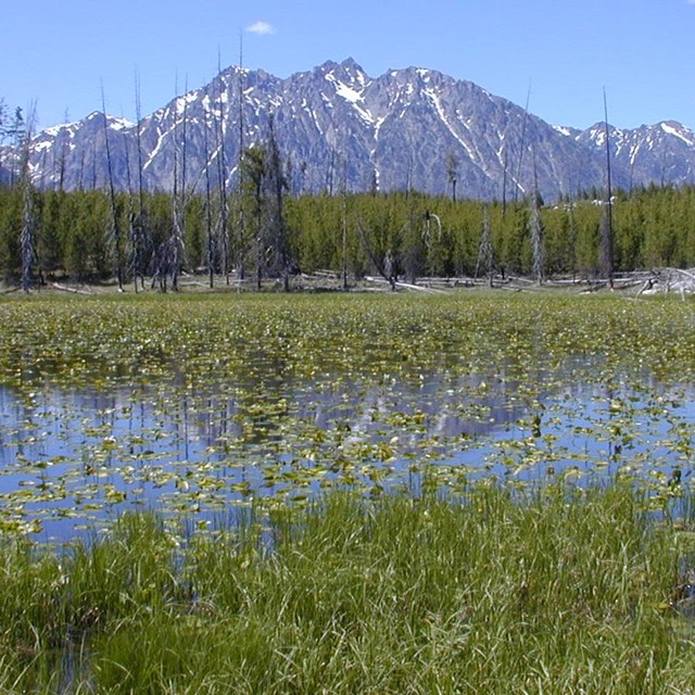 Shallow pond in high mountains.