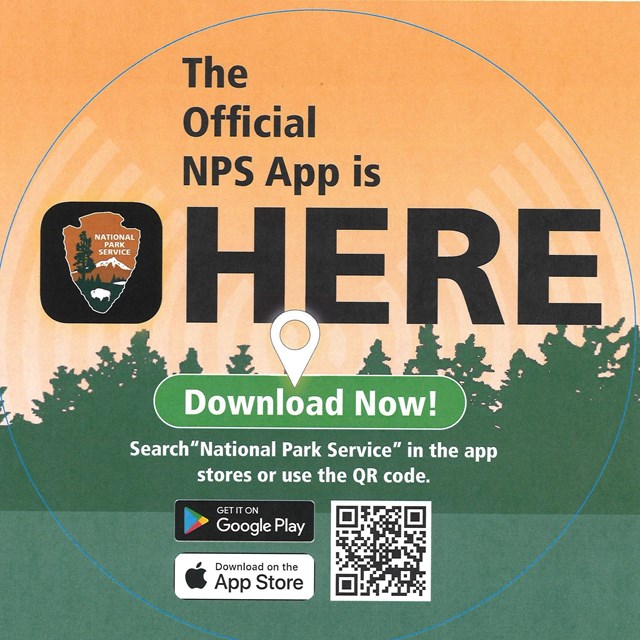 Ad reads The Official NPS App is Here. A fake green button says Download now. 