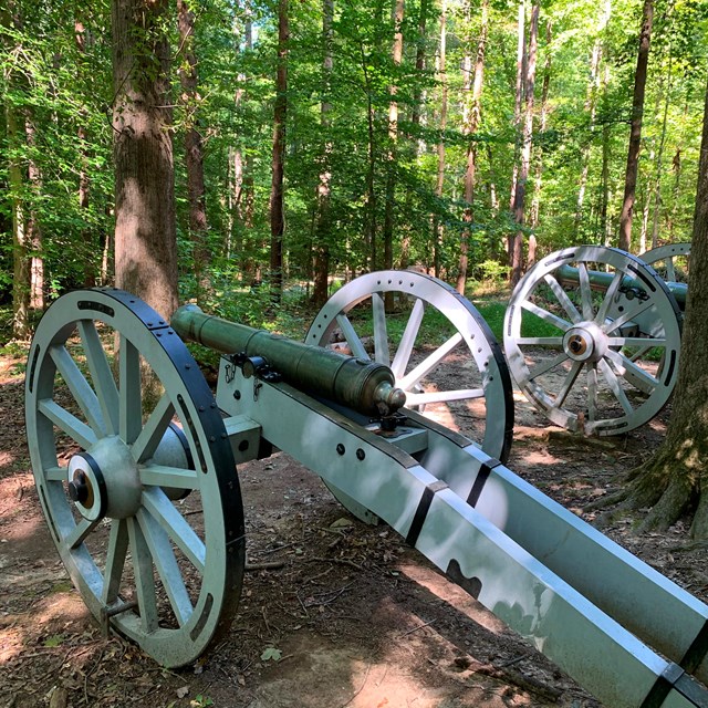 Two six pounder cannons sit in a forest