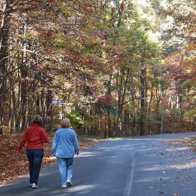 Two people walk along a tour road in the fall