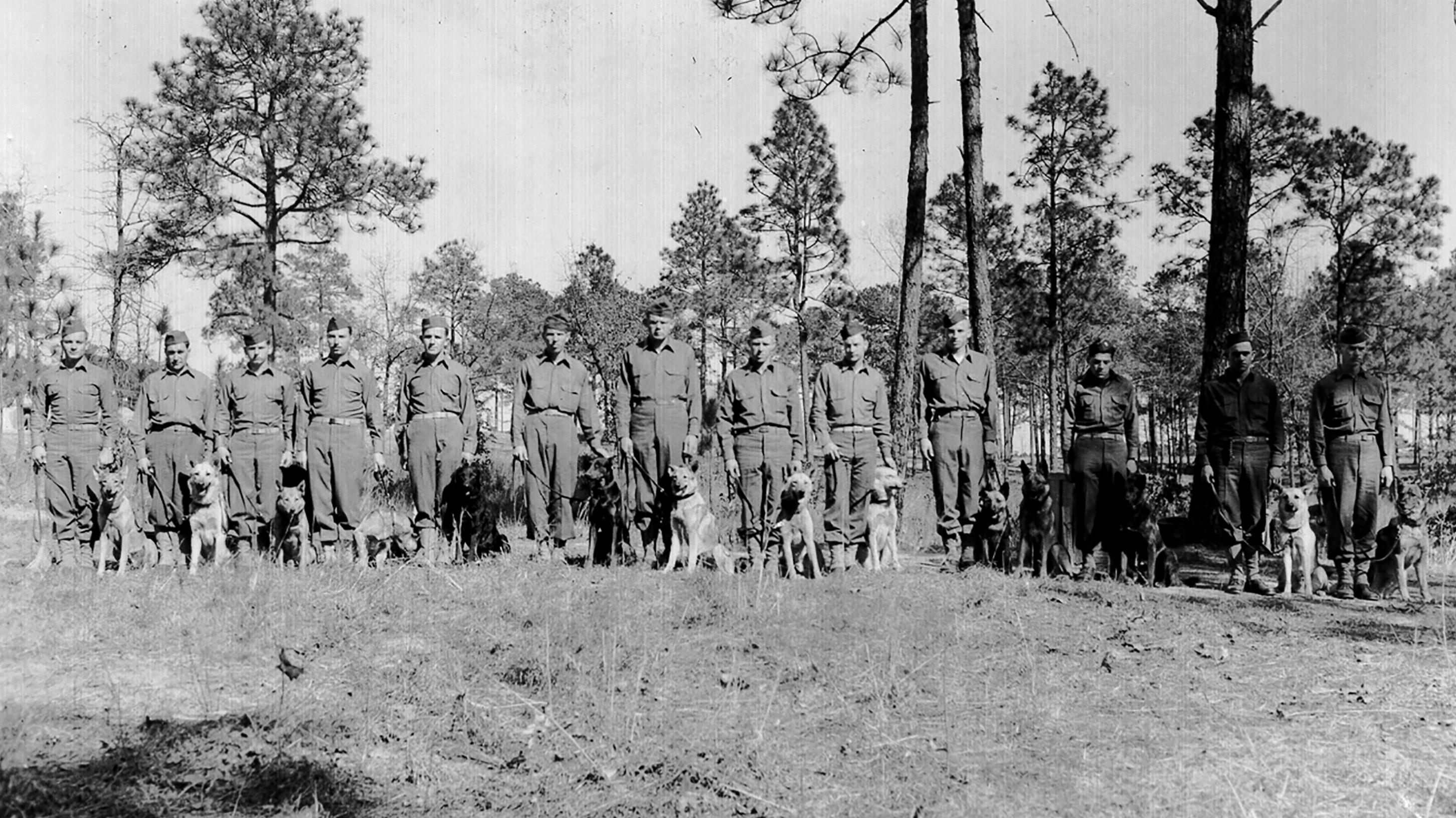 A group of soldiers standing with dogs on a leash.