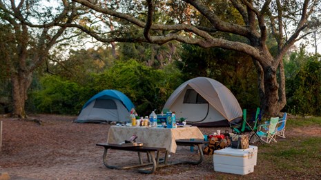 Two tents behind a picnic table beneath shady trees.