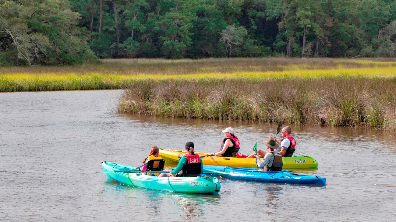 Kayak the Bayou