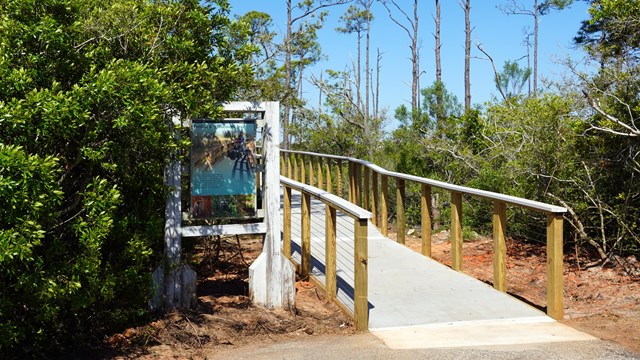 An informative sign and beach boardwalk are framed by a cloudy blue sky.