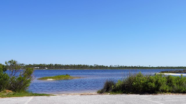 A concrete boat launch sinks into the water with aquatic vegetation nearby.
