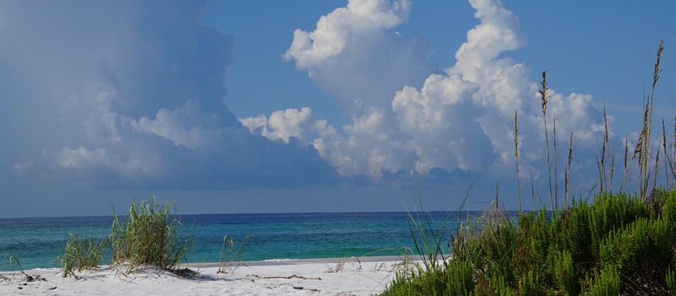 Plan Your Visit, image of shore