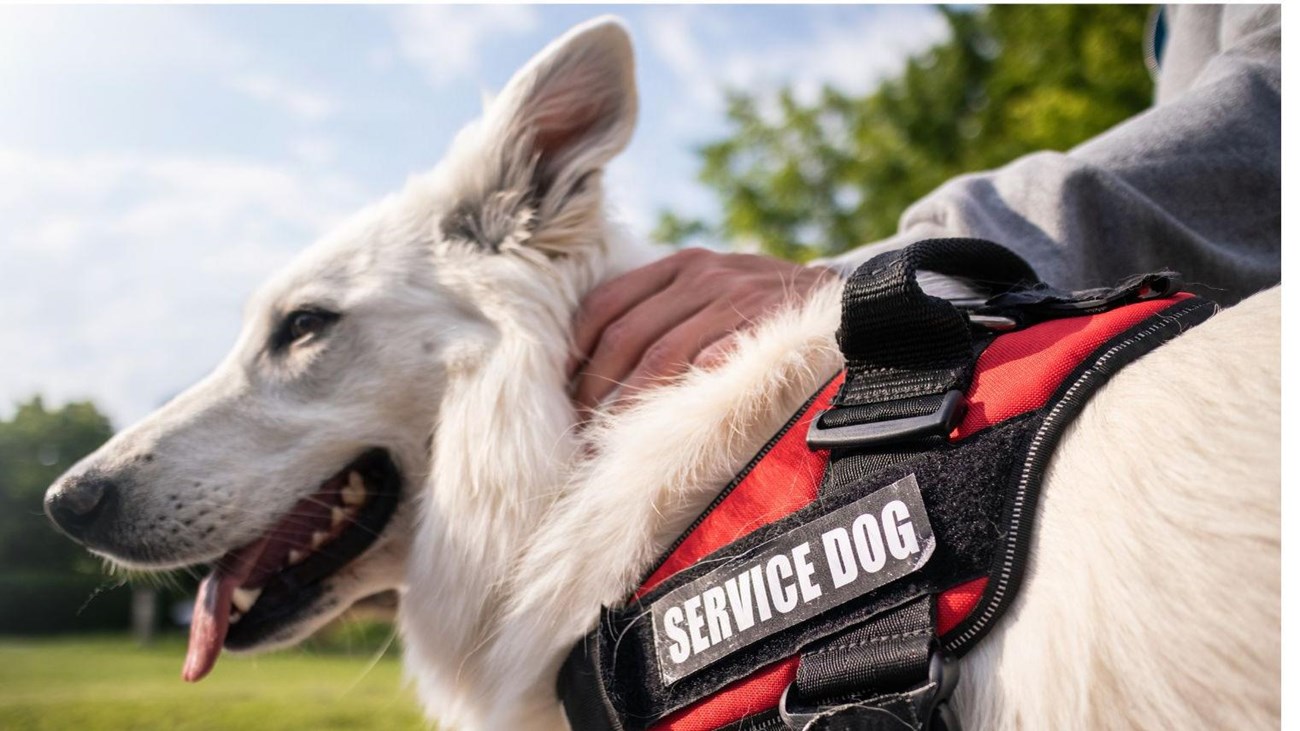 Service Animals in National Parks