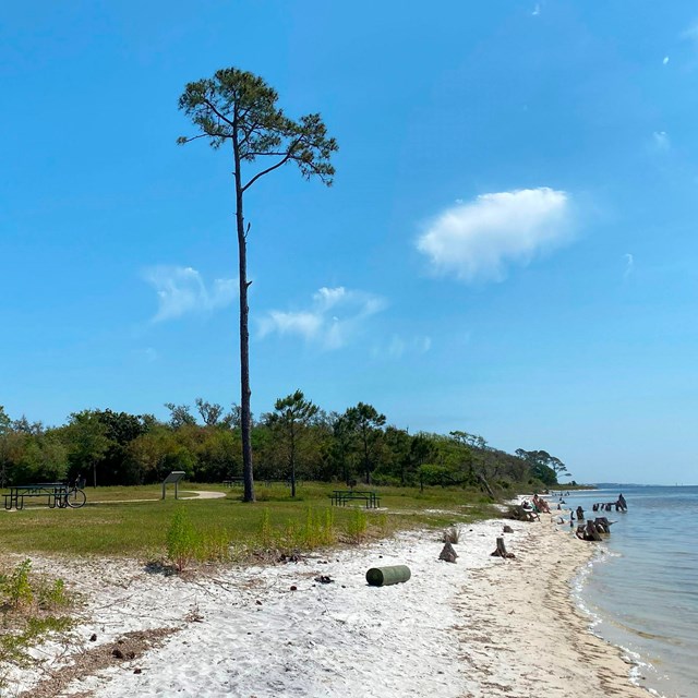 A sandy path winds to beach with pavilion.