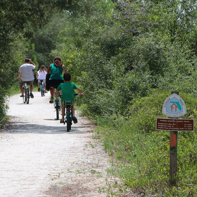 A group of cyclists ride away on a gravel trail between trees, a trail sign in the foreground