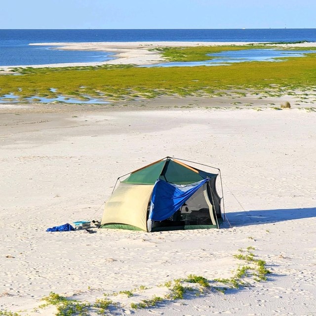 White sands and sparse vegetation with tent