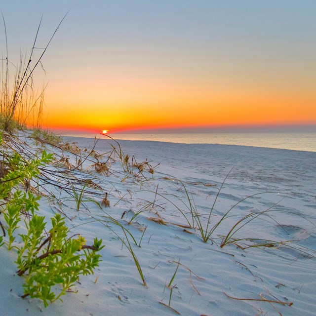The sun sets of the Gulf of Mexico with a sandy beach and grass covered dunes in the foreground.
