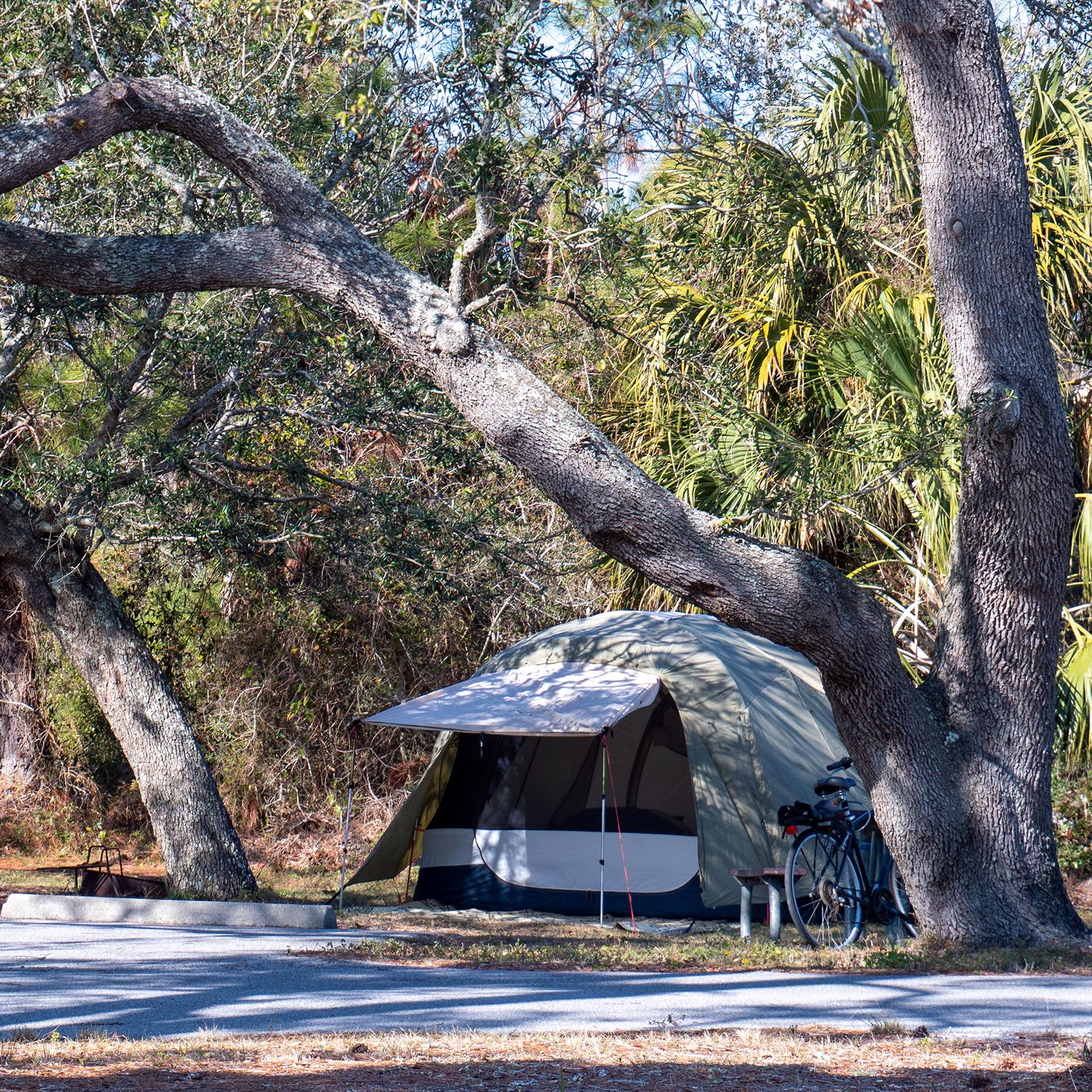 A paved road leads into a wooded area with camping pads.