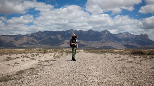 A lone hiker is on a path toward a tall desert mountain range