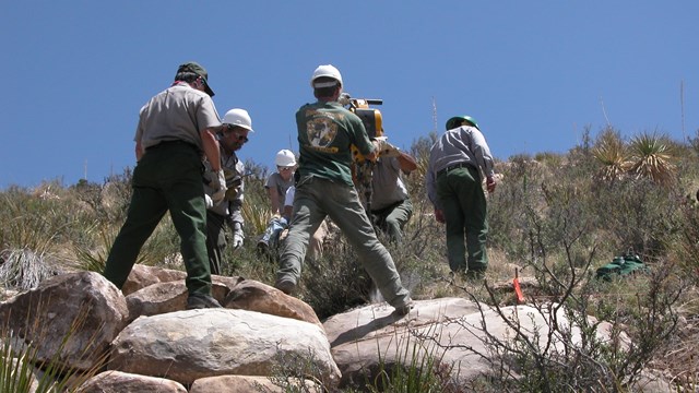 Employees work together on building a trail