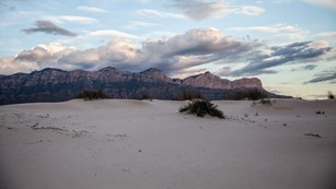 White dunes with desert vegetation and mountains in the background.