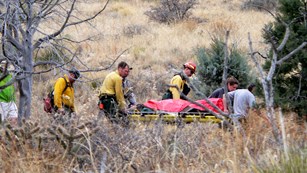 Park rangers and fire fighters carry a wheeled litter along a trail in a desert mountain landscape. 