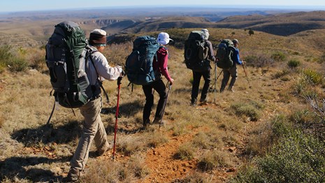 A group of hikers with heavy packs proceed on a trail