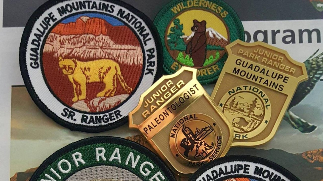 Junior Ranger programs available at the park.