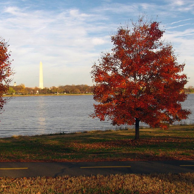 Image along the Parkway